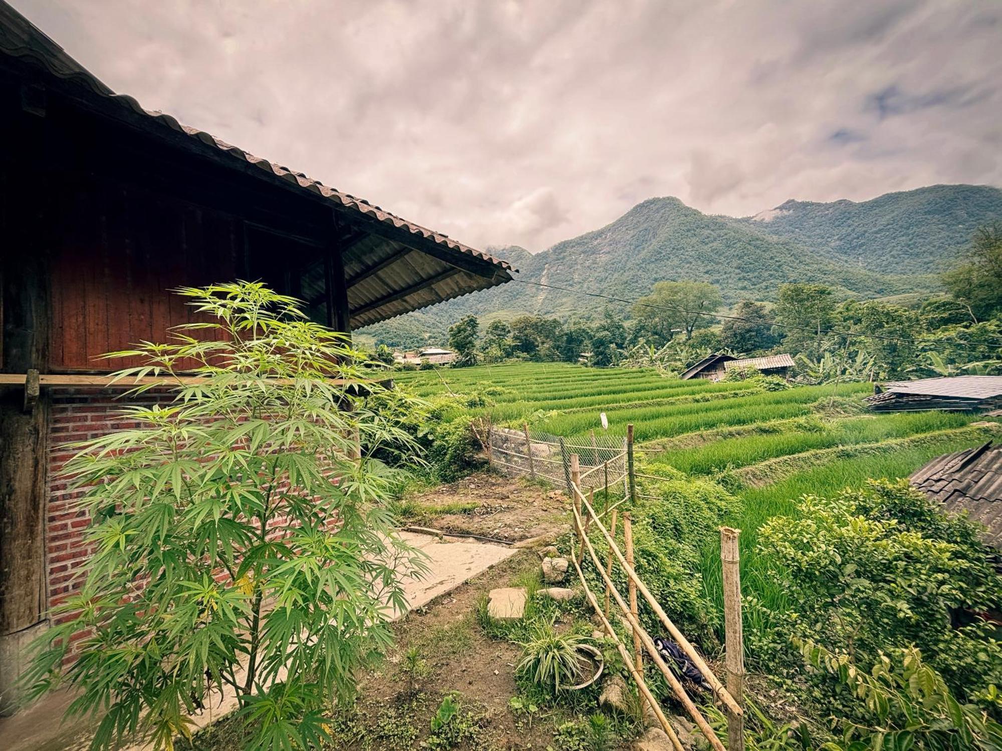 Apartmán Sapa Tranquilla Exteriér fotografie